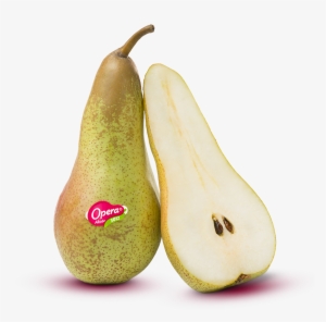 Every Variety Of Opera Pear Is A Work Of Art - Pera Opera