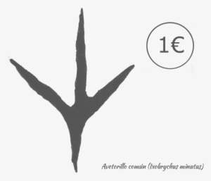 Plumaje Del Macho Con Alas Negras Y Panel Alar Amarillento, - Silhouette