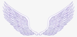 Cosas Para Photoscape - Alas Png Para Photoshop