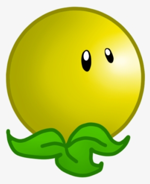 Yellow Sun Plant - Smiley