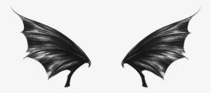 Bat