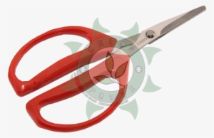 Tesoura De Colheita E Desbaste Red - Scissors