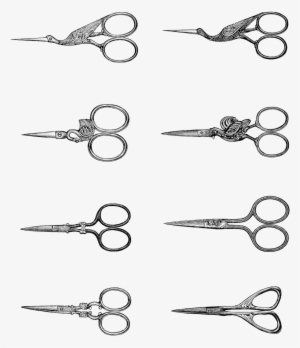 Tesoura - 8 Scissors