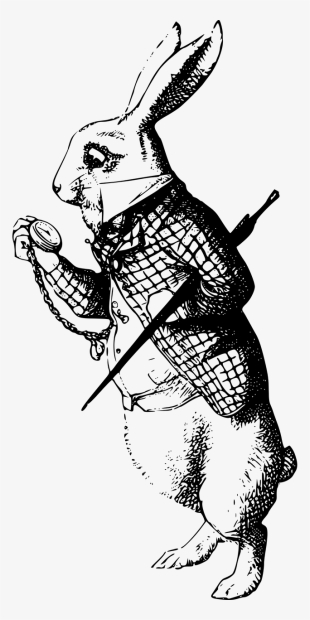 Graphic Transparent Stock Wonderland Cartoon Fairy - Alice In Wonderland Rabbit Art Prints