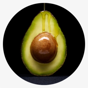 Avofatround2 - Famous Avocado Photography
