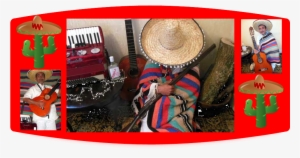 Spanish Flamenco Guitarist - Flamenco Guitar