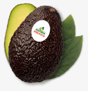 Avocado - Avocados From Mexico