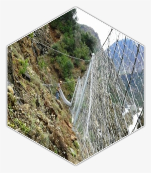 Rockfall Barriers Are Designed To Resist Or Catch Rocks - Forest