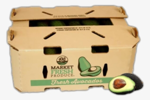 Avocados No Background With Shadow - Fresh Produce