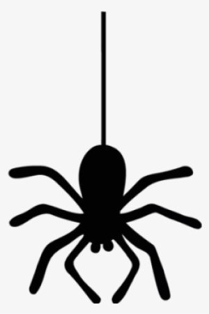 Araña Halloween - Imagenes De Arañas De Halloween