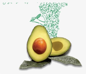 Avocado Mattress- Brown Inside - Medicina Natural Para El Ácido Úrico