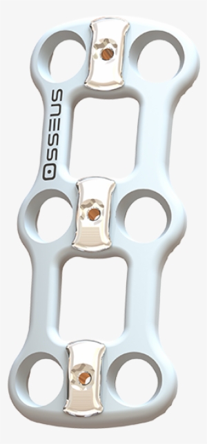 White Pearl Cervical Plate - Gun Barrel