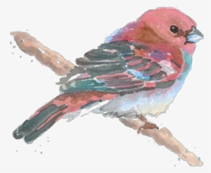 Report Abuse - Watercolor Painting