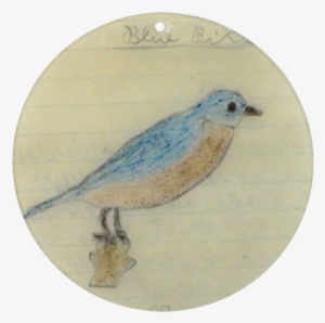 Blue Bird - Mountain Bluebird