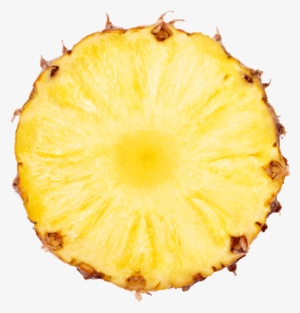 Kauai Destination Carousel Pineapple - Pineapple