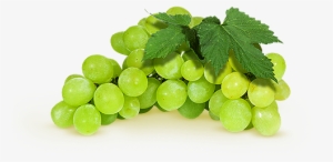 Flavoured Sparkling Water White Grapes - Hrozny Bílé