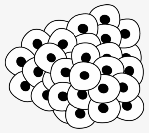 Egg Clipart Line Drawing - Drawing Of Frog Egg