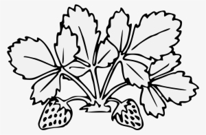 Details, Png - Flower