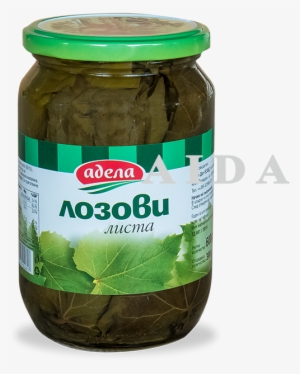 Adela Vinee Leaf - Pickled Cucumber