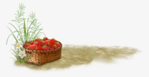 Fc6326af - Fruit