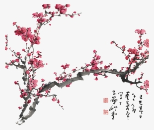 Chinese Cherry Blossom Png