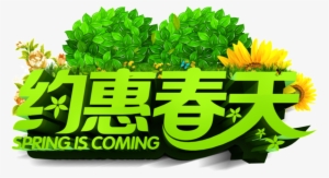 Hui Yi De La Fuente De Png De Promoción De Primavera - Poster