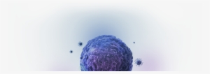 T-cells Or 3) A Checkpoint Antibody For Solid Tumor - Car T Cells Background
