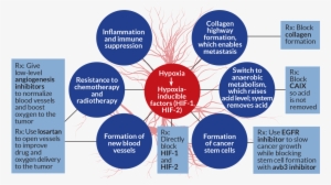 Source - R - K - Jain/cancer Cell 2014 - R - K - Jain, - Tumor Hypoxia