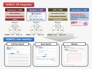 Of Somatic Mutations In Cancer), And Nci60 - Mutation