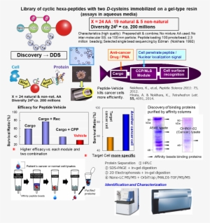 For Practical Use Patient Cancer Cells Were Obtained - Ltq Orbitrap Xl