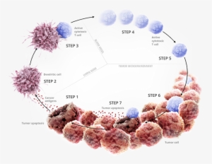 Initiating And Propagating Anticancer Immunity1 •oncogenesis - Microambiente Tumoral