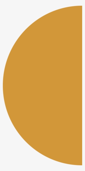 Curatorial Learning Bureau Semicircle 2