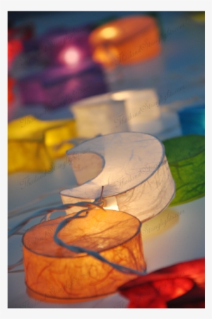 Still Life Photography