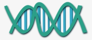 Dna Helix Science Biology Research Medicin - Dna Clip Art