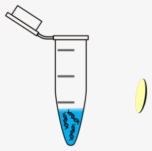 Tube Dna Water Clip Art - Eppendorf Tube With Dna