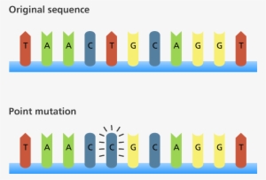 Mutant Clipart Point Mutation - Point Mutation