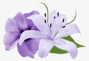 Purple Deco Flowers Png Clipart 179 0 - Lily Flower Purple Png