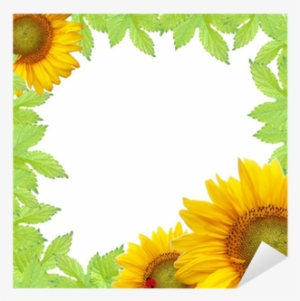 Green Leaves Frame With Sunflower And Ladybug Sticker - Marcos Decoradas Con Girasoles