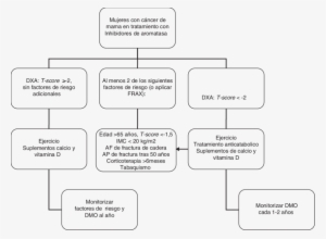 Algoritmo Diagnóstico Y Terapéutico Para Mujeres Con - Algoritmo Cancer De Mama