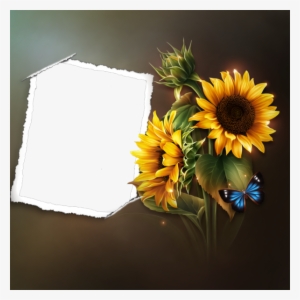 Sunflowers On The Beach