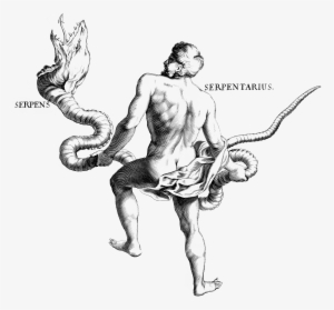 Resolution - Ophiuchus Female
