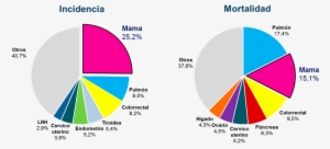 Cáncer De Mama En América - Breast Cancer