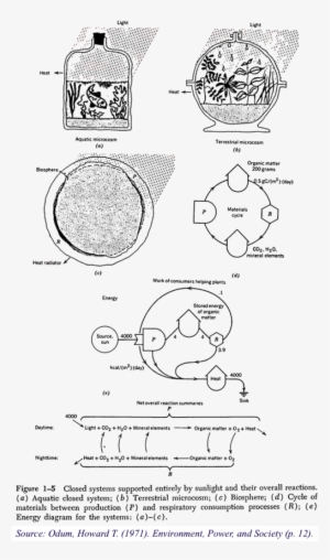 Accordingly, Odum Suggested Studying Ecosystems As - Diagram