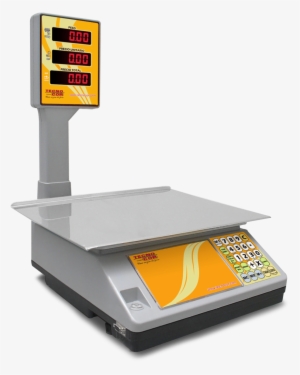 Ppn 20b,ppn 40b - Scale