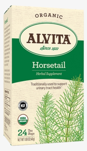 Default Title - Alvita Horsetail Tea - 24 Bags