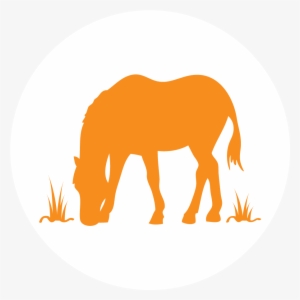Horse & Farm Committee Icon - Horse