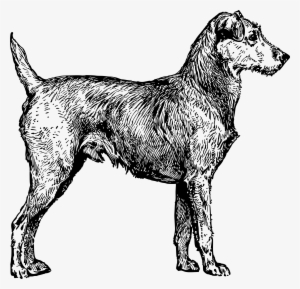 This Free Icons Png Design Of Irish Terrier