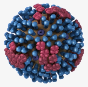 Source - Flu Virus