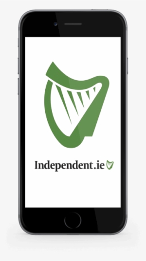 Case Study Independent - Freecodecamp