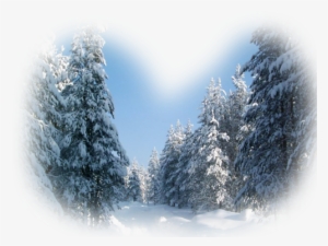 Realistic Winter Landscapes By Evgeniy Karlovich - Shalkiya